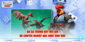 12PLAY nạp tiền vào khu game